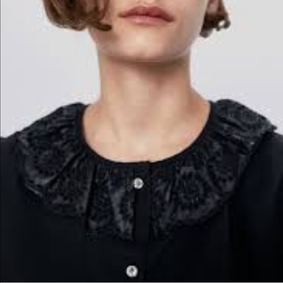 Zara black collar button down blouse - Picture 6 of 6